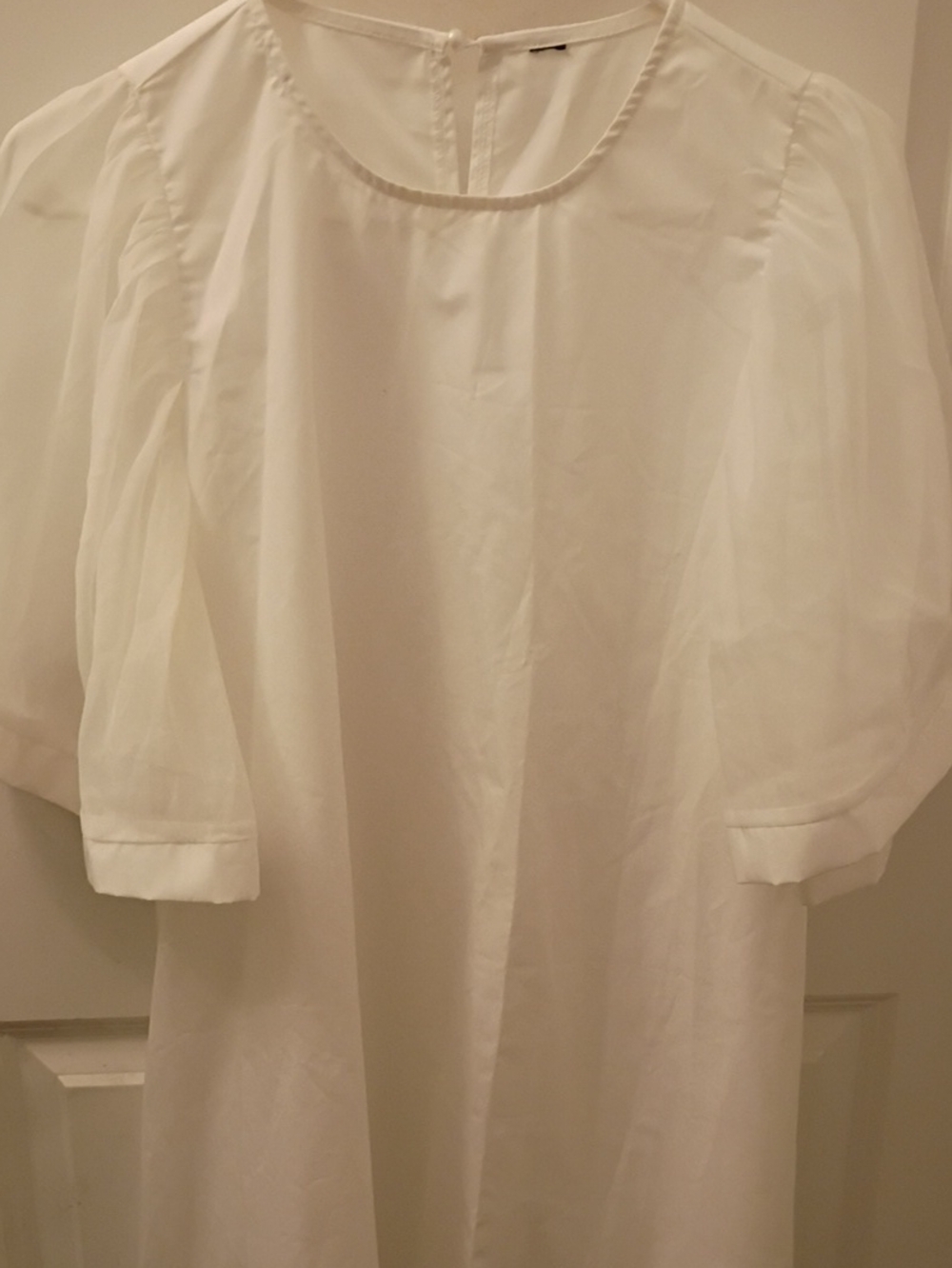 White Puff Sleeve Sheer Blouse